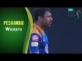 Match 10: Karachi Kings vs Peshawar Zalmi - Peshawar Wickets