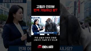 100% 1등급 한우88도매장 광주/부산 창업설명회! 무료시식권 이벤트 증정 진행중! #임우일 #소고기집 #고기집창업 #한우88도매장 #한우88도매장창업