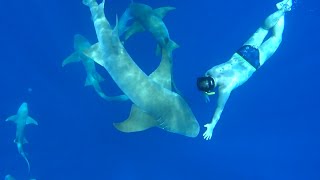 Купание среди акул. Maldives. Swimming with sharks.