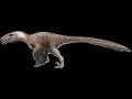 Utahraptor (Pleistoshire)