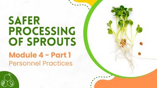 Sprouts: Module 4 | Personnel Practices | Part 1