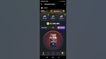 Daily Cipher code June 22, 2024 in Hamster Kombat