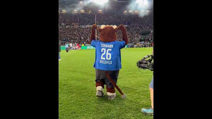 Arminia Bielefeld - Bayer 04 Leverkusen 2:1 mit Lohmann🖤🤍💙Berlin, Berlin, wir fahren nach Berlin🥳🥳🥳