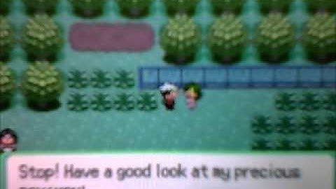 Pokémon Emerald Walkthrough Part 22 Route 120-121, Mt. Pyre & Lilycove City