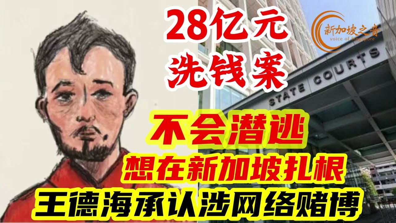 新加坡28亿新元洗钱案被告王德海承认涉网络赌博,称已把新加坡当成自己的家，想在新加坡扎根，不会潜逃。#新加坡#新加坡洗钱案#洗钱案#
