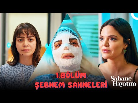 1. Bölüm Şebnem Sahneleri - Şahane Hayatım