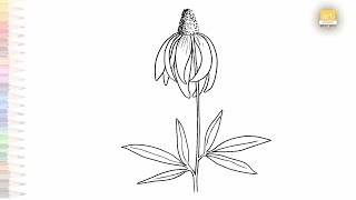 Prairie Coneflower Drawing Easy Art Tutorial How To Draw Ratibida Columnifera Step By Step