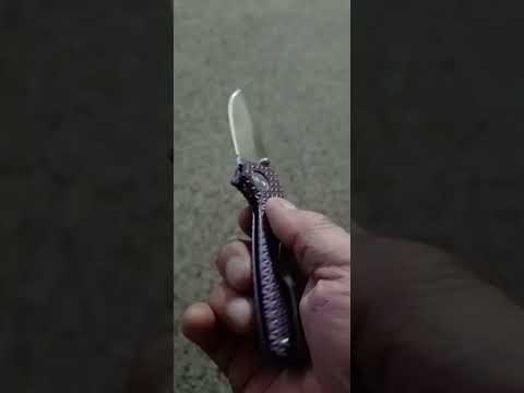 Stiletto's February 21, 2025 Pocket Check Purple Rain Shark Cub