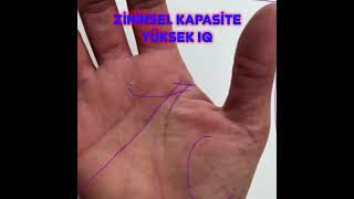 Zihinsel Kapasite - Yüksek Iq - Uzun Akıl Çizgisi