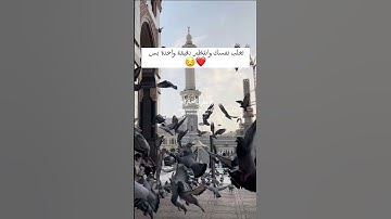 قال ربي إني ظلمت نفسي فاغفرلي🌿||قرآن كريم❤️