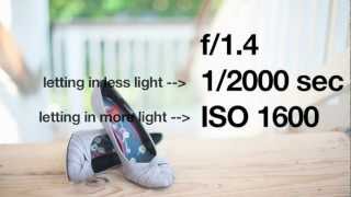Fotog Friday - Back to Basics: 3 Elements of Exposure