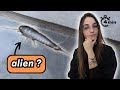 4 minutes pour comprendre le POISSON D'ARGENT image