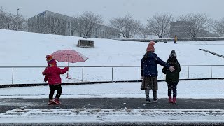 日本生活| 2022东京下雪了Snowing day in Tokyo