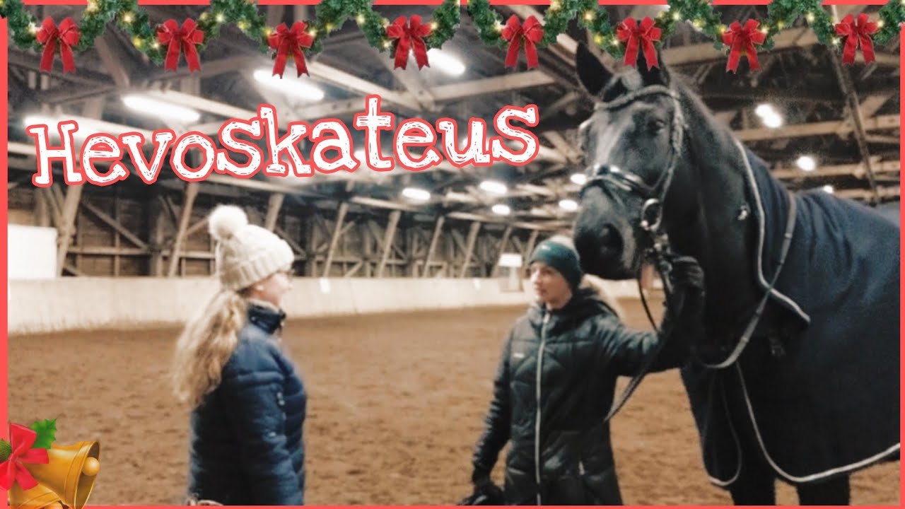 HEVOSELOKUVA: HEVOSKATEUS🐴🎅