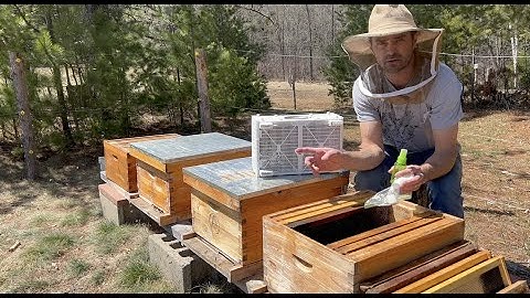 Installing a 3 Pound Package of Honeybees