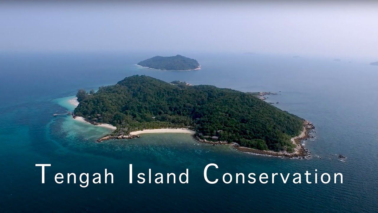 Tengah Island Conservation (TIC) - Short Film - Malaysia