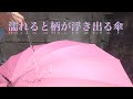 【桜雫】濡れると柄が浮き出る傘