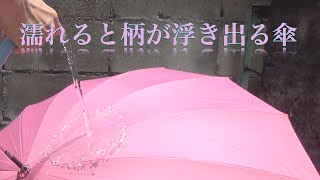 【桜雫】濡れると柄が浮き出る傘