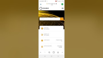 How to delegate CORE || After official launch from #coredao team #cryptocurrency #satoshi #bitcoin