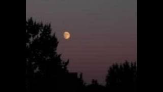 Half Moon Serenade Hacken lee