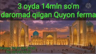: 3 oyda 14mln so'm daromad qilgan Quyon ferma. 3  14     .