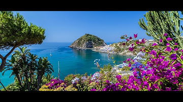 سورة هود- رواية شعبة Hud - Shubah Narration