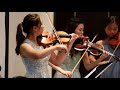 Miniature de la vidéo de la chanson Concerto No. 8 In G Minor (Christmas Concerto): I. Vivace - Grace
