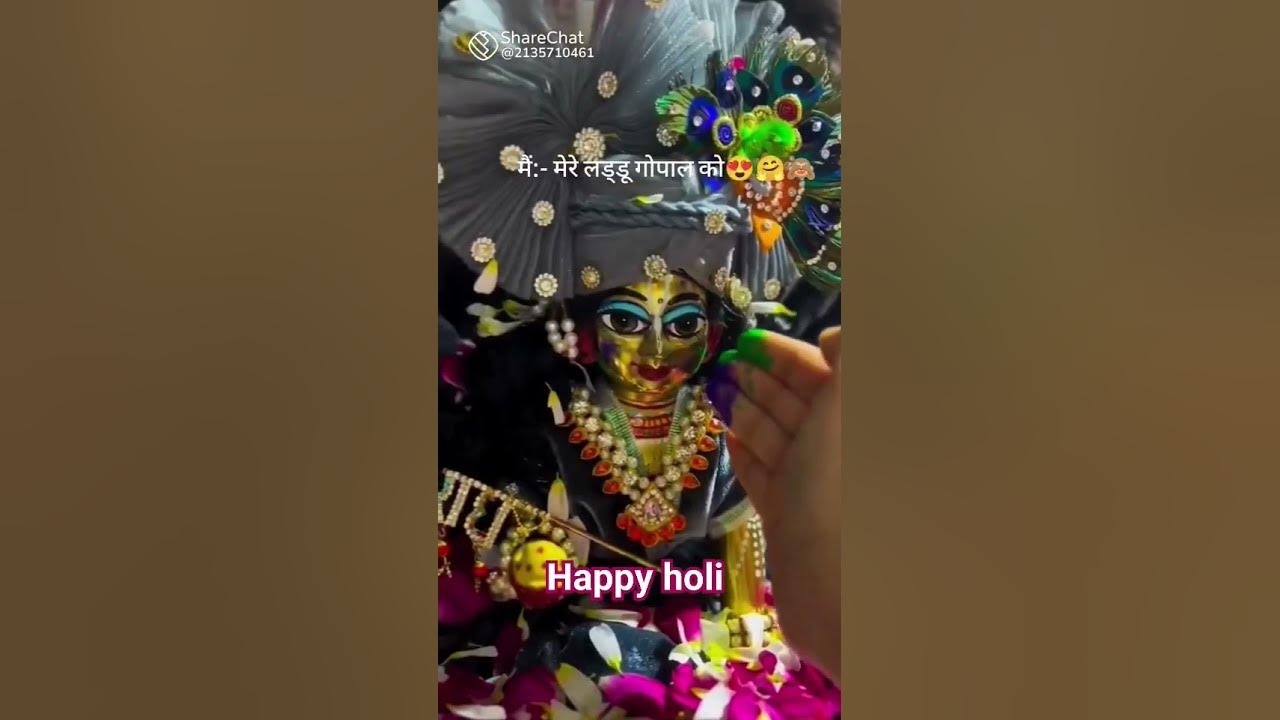 snu holi