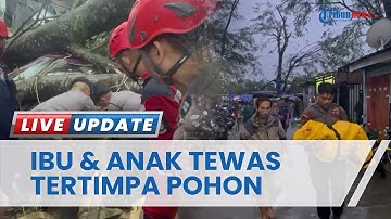 Ibu dan Anak Tewas Tertimpa Pohon Tumbang Buntut Angin Kencang di Makassar, Ratusan Rumah Ikut Rusak