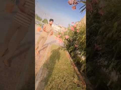 رفت رفت عيني تريد تشوفه