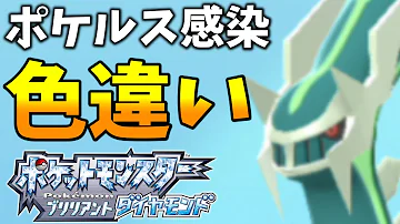 ポケルス