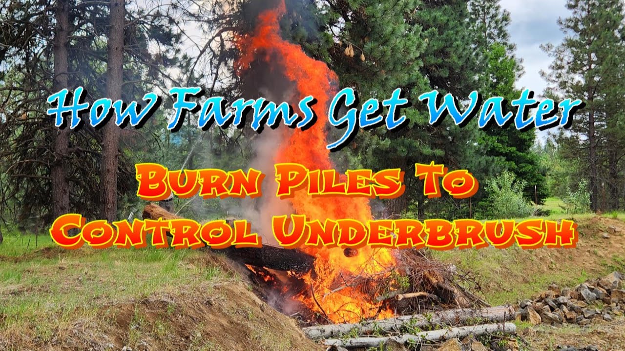 Forestry Farming Burn Piles And Water Rights YouTube