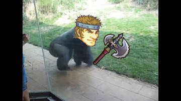 The GBA warrior critical animation is the best