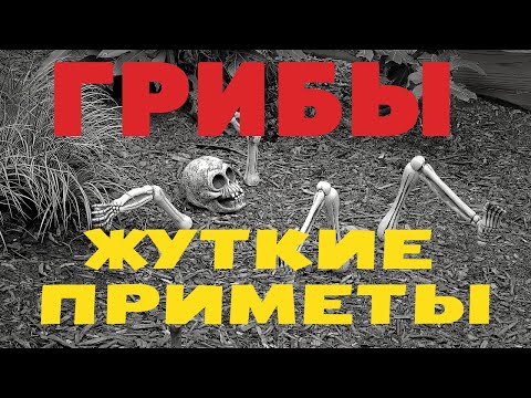 ГРИБЫ. ЖУТКИЕ НАРОДНЫЕ ПРИМЕТЫ.