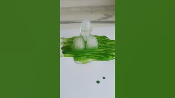 Melting Ice Timelap #timelapse #ice #melting