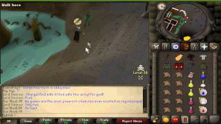 Typical day in Regret-Scape?