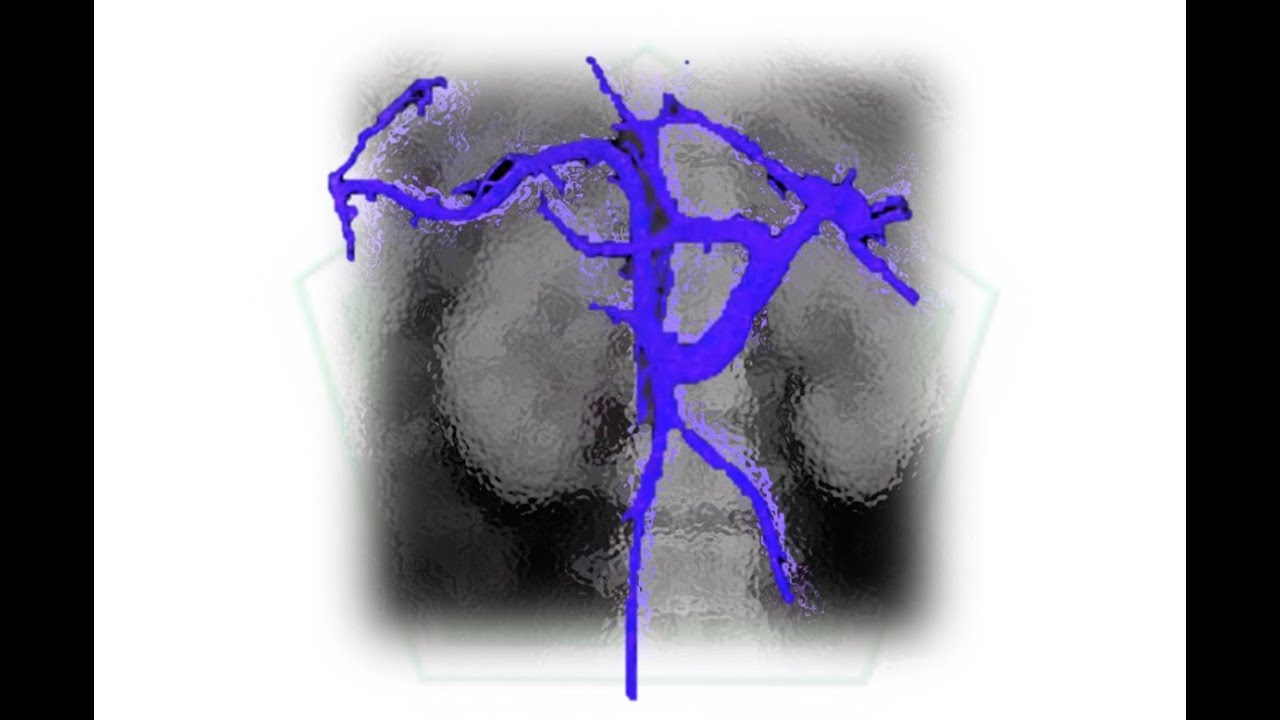 health industry cybersecurity practices Situs Inversus - Sistema Portal (p2)