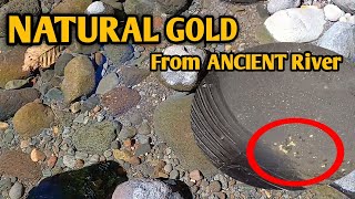 GOLD IN BLACK SAND | GOLD FROM SAND IN A RIVER