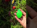 🐠 Hidden Sea Creatures Hunt! | Amazing Toy Fishing Challenge 🌊✨#shorts #shortsfeed #short #ytshorts