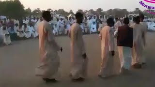 Video thumbnail of "علي دبشه 
دولقدني هيالمنو اغنية جديدة + العازف محمد جيلي"
