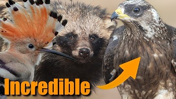 My Most Breathtaking Birding Adventure Yet