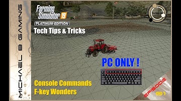 Tips & Tricks : Console Commands & F-Key Wonders : FS19