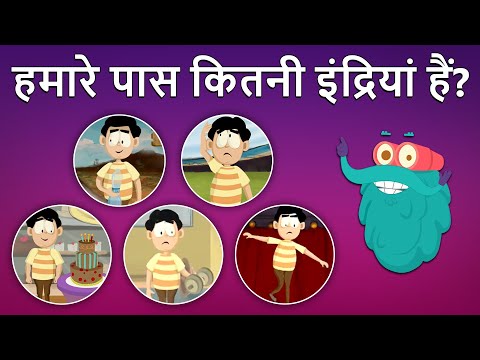 वीडियो: ज़ीडेको का आविष्कार कब हुआ था?