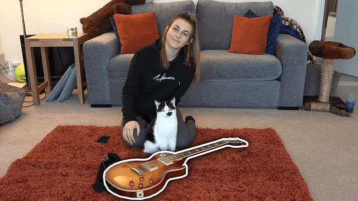 I Taught My Cat to Play the Guitar