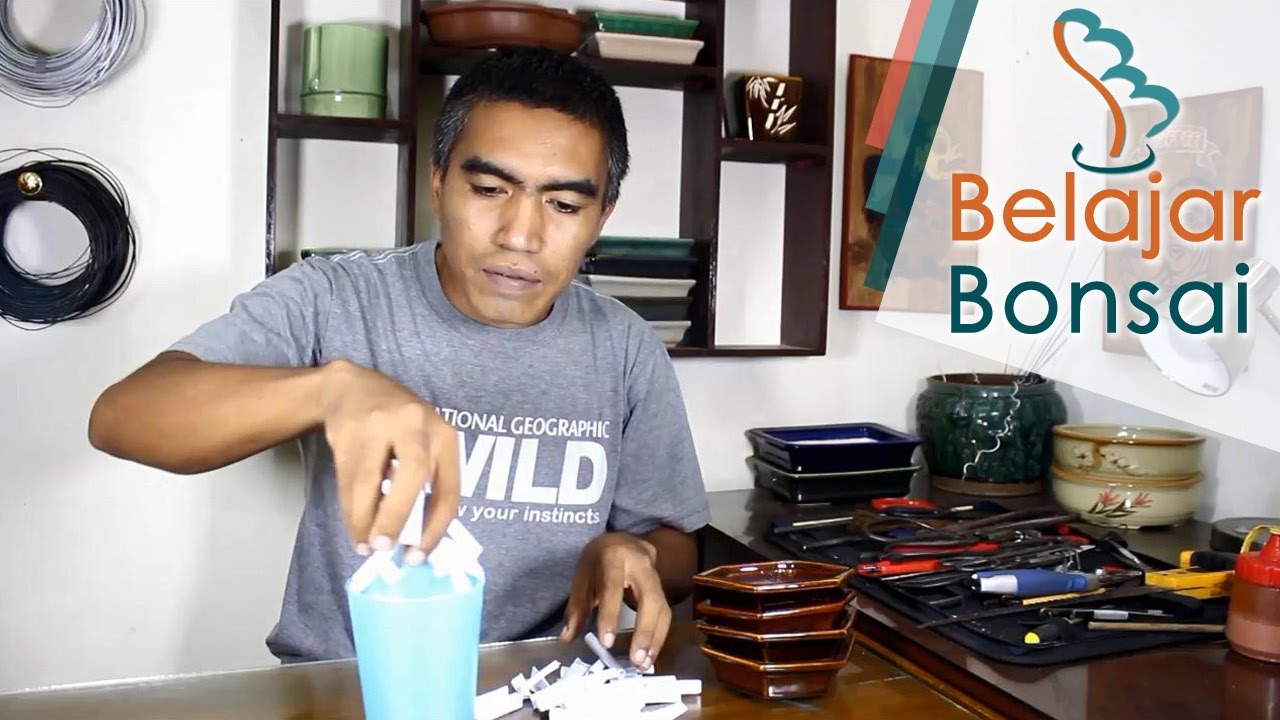 Pengumuman Undian Bagi Bagi Pot  Bonsai  Mame  YouTube