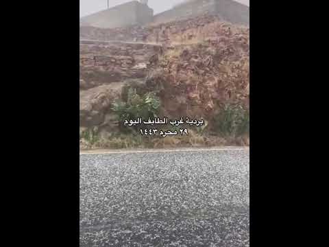 امطار وبردية الطائف اليوم السعوديه سياحة سفر ممنوعات