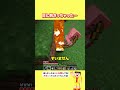 目に刺さっちゃった…【マイクラ】