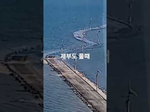<strong>제부도</strong> <strong>물때</strong> 도로 잠기는중~ing