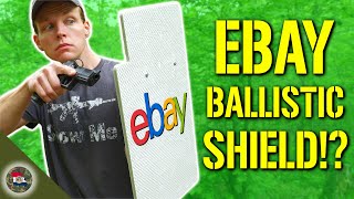 Testing a Budget eBay Ballistic Shield! Will It Stop a .44 Magnum?