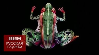 Тела и живой мир: иллюзии Йоханнеса Штеттера Тела и живой мир: иллюзии Йоханнеса Штеттера